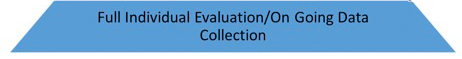 Simple ARD Agenda Full Individual Evaluation / Ongoing Data Collection